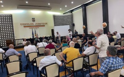 Primarul Vergil Chițac a permis ca în cartierul Palazu Mare să se instaleze haosul imobiliar, cu zeci de construcții abuzive ridicate între case