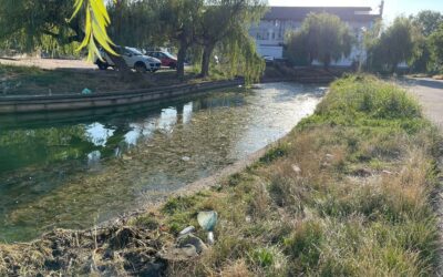 Am sesizat astăzi Garda de Mediu Constanța în legătură cu deșeurile din zona Lacului Tăbăcăriei