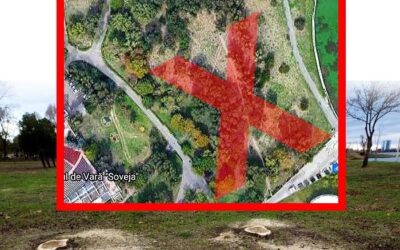 Ceea ce se întâmplă acum în Parcul Tăbăcărie este un real dezastru ecologic, iar principalul responsabil este Vergil Chițac!