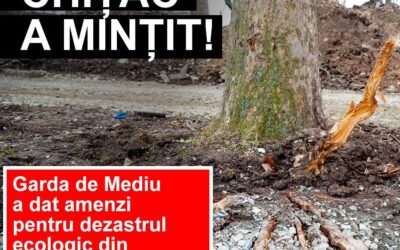 Garda de Mediu a efectuat un control și a amendat grupul de firme pe care primarul Vergil Chițac l-a contractat pentru așa-zisa reabilitare a parcului de la Gară