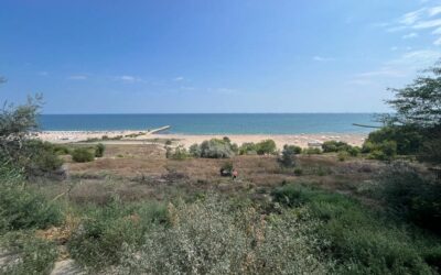 Pesediștii constănțeni scot de la sertar proiectul șoselei de coastă