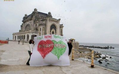 Le mulțumesc tuturor celor care s-au opus ca la Roșia Montană cianura să omoare oameni, munți, ape și păduri!