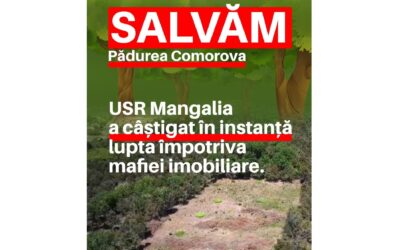 Victorie de etapă în procesul de salvarea a Pădurii Comorova. O bătălie câștigată pentru oameni, nu pentru mafia imobiliară!